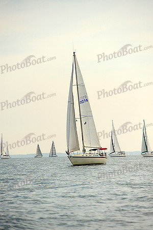 2014 Cape Charles Cup B 241