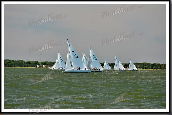 proof_2010_EScows_E 028