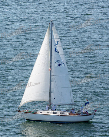 DBP_1226
