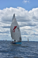 2021 Vineyard Race A 1485