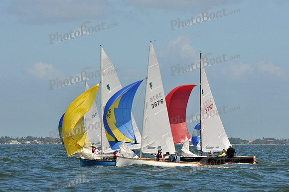 2012 Thistle Midwinters C 333