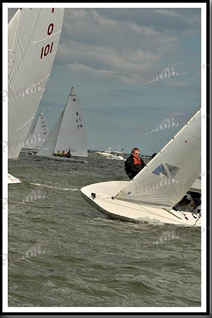 proof_2010_EScows_B 204