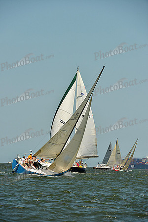 2015 Southern Bay Race Week A 1256