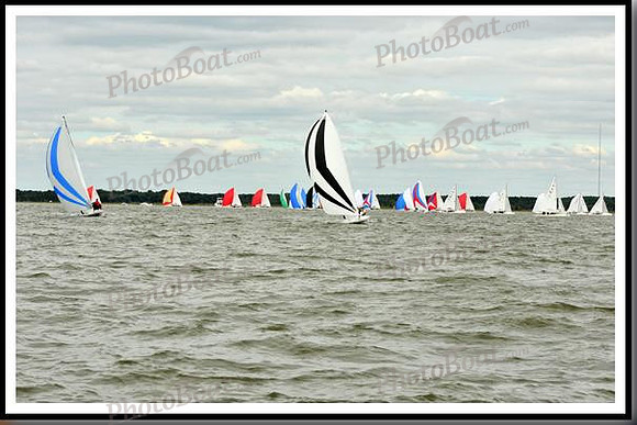 proof_2010_EScows_A 689