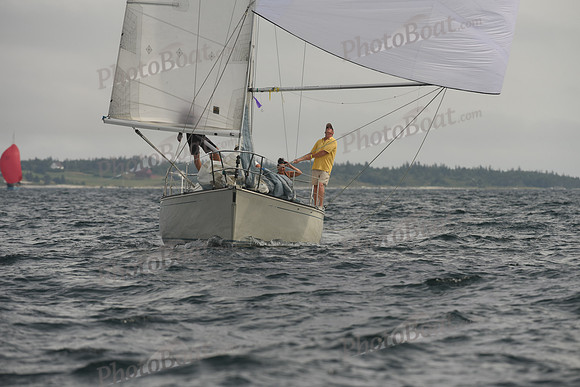 2016 Chester Race Week C_1664