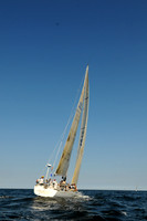 2011 Vineyard Race A 2089