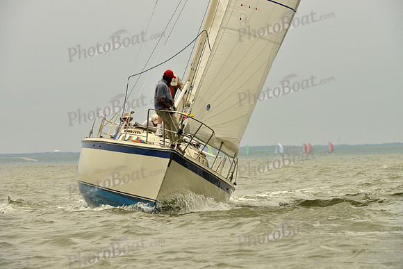 2016 Southern Bay Race Week A_1102