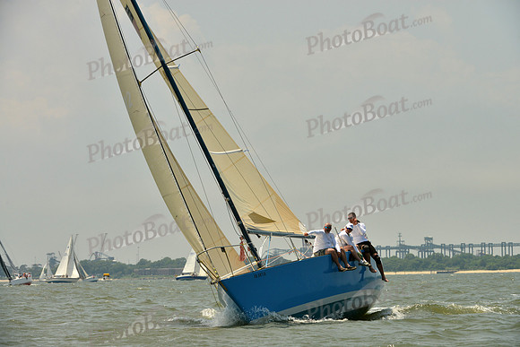 2016 Southern Bay Race Week A_1537