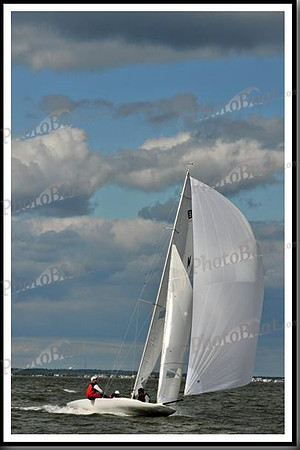 proof_2010_EScows_B 951