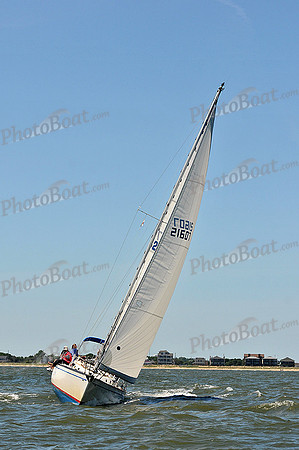 2014 Southern Bay Race Week D 343
