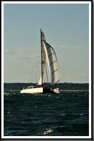 proof_2010_Vineyard_Race_1781