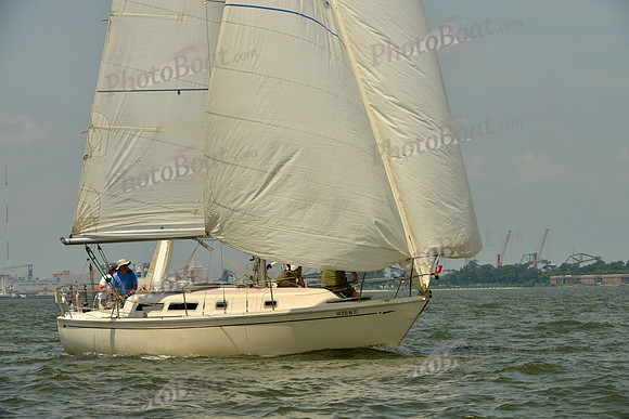 2016 Southern Bay Race Week F_0372