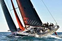 Comanche