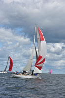 2021 Vineyard Race A 1099