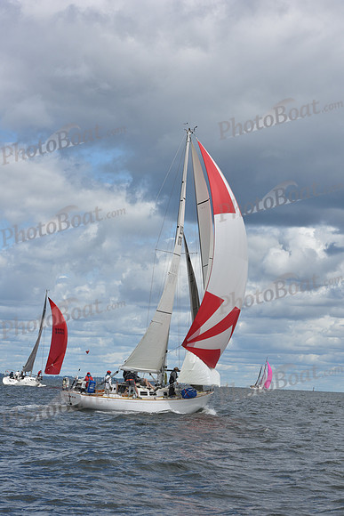 2021 Vineyard Race A 1099