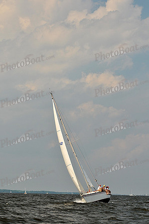 2013 Gov Cup A 739