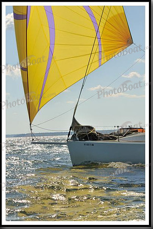 proof_2010_Vineyard_Race_1310