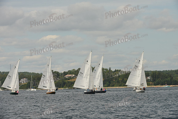 2016 Chester Race Week F_0290