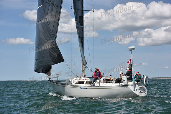 2019 Figawi_0784