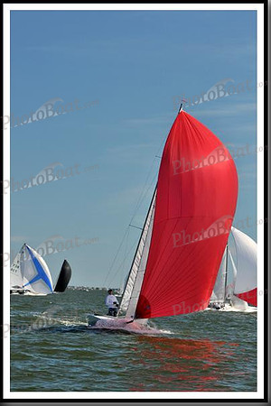 proof_2010_EScows_E 1051