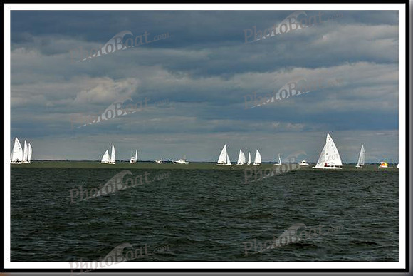 proof_2010_EScows_C 027