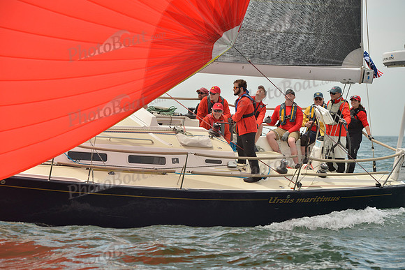 2018 Figawi_2524