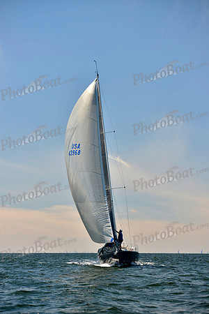 2017 Vineyard Race A_0866