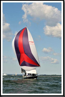proof_2010_Vineyard_Race_1101