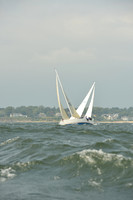 2015 Vineyard Race A 565