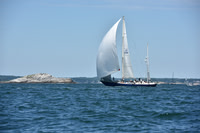 2019 Marblehead to Halifax A_0248