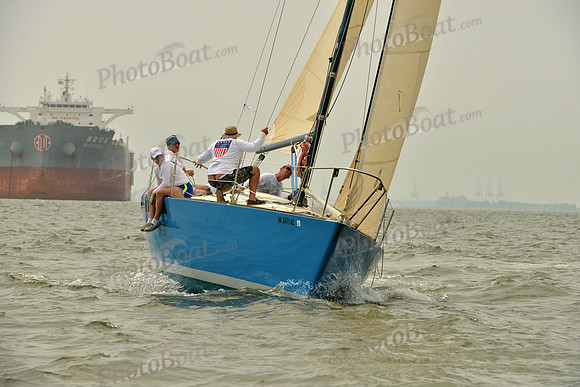 2016 Southern Bay Race Week A_0498