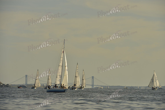 2016 NY Architects Regatta_1084