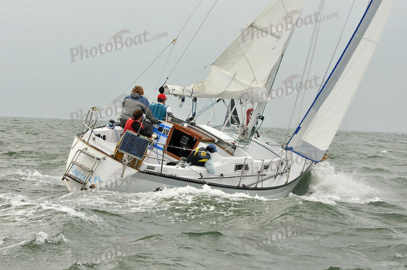2012 StPete NOOD C 528