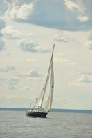 2016 Vineyard Race A_1734