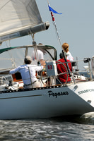 2011 Vineyard Race A 399