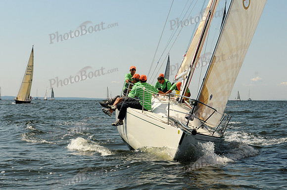 2011 Vineyard Race A 1680
