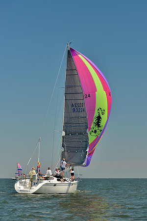 2017 Southern Bay Race Week B_0531