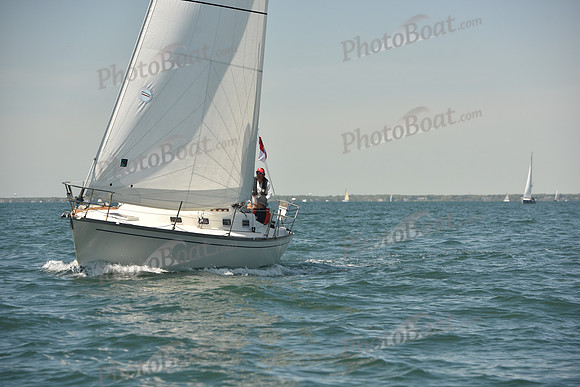 2024 Figawi 0444