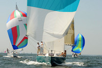 2012 Vineyard Race A 663