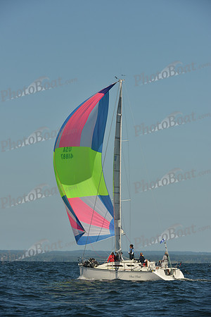 2015 Vineyard Race C 225