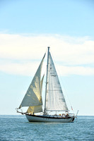 2015 Cape Charles Cup A 207
