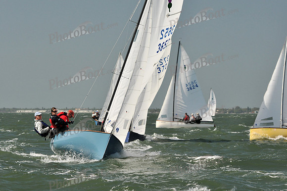 2012 Thistle Midwinters B 588