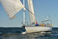 2015 Vineyard Race C 564