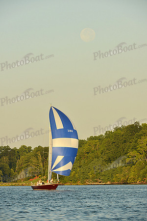 2015 Gov Cup C 558