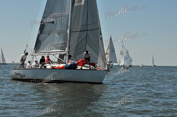 2010 Leukemia Cup 777