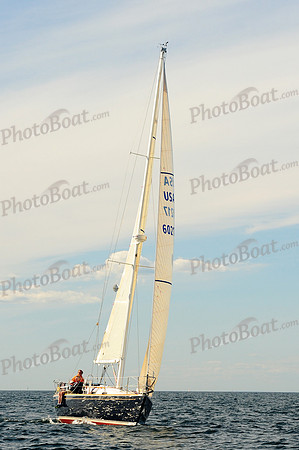 2014 Newport Bermuda A 2449