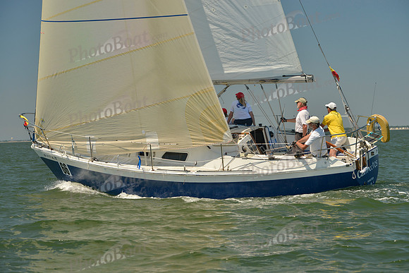 2017 Southern Bay Race Week B_1159