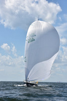 Salacia