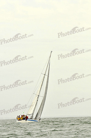2013 Charleston Race Week A 308