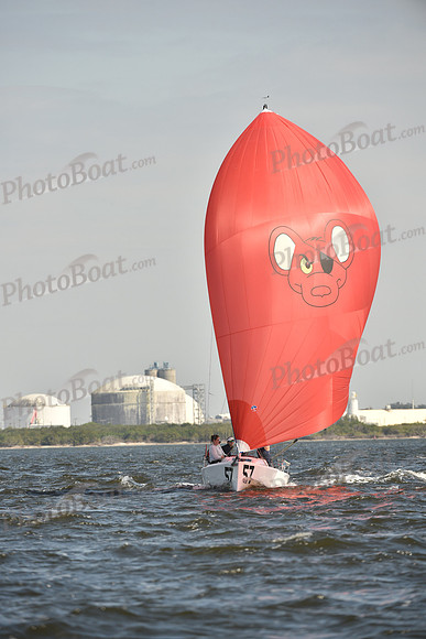 2019 J70 Winter Series C_1069